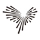 Peacebird